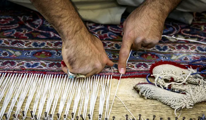 ریشه زنی